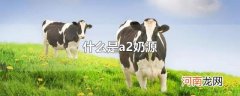 什么是a2奶源