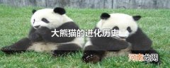 大熊猫的进化历史