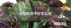 新鲜的苏子叶怎么吃