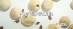豆子生虫子怎么处理