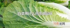 白菜用什么药杀虫最好