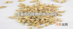 生麦芽直接用开水冲行吗