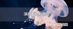 浮游生物有哪些