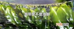 海带是不是海鲜