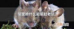 屋里喷什么能驱赶老鼠?