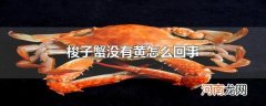 梭子蟹没有黄怎么回事