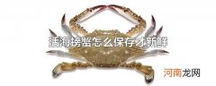 活海螃蟹怎么保存才新鲜