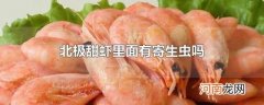 北极甜虾里面有寄生虫吗