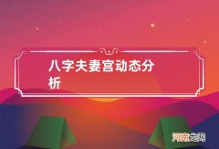八字夫妻宫动态分析