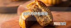咸味月饼有哪些