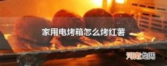 家用电烤箱怎么烤红薯