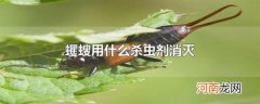 蠼螋用什么杀虫剂消灭