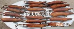 老鼠肉可以吃吗?
