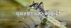 花蚊子是怎么进入中国的