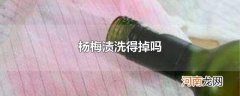 杨梅渍洗得掉吗