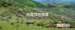 鸡笼顶在哪里