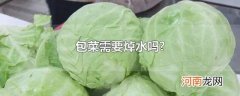 包菜需要焯水吗?
