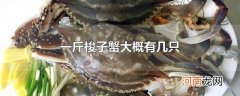 一斤梭子蟹大概有几只