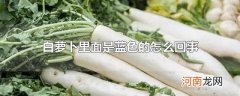 白萝卜里面是蓝色的怎么回事