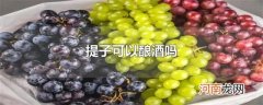 提子可以酿酒吗