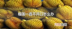 榴莲一直不开口怎么办