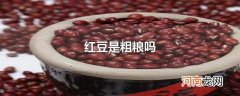 红豆是粗粮吗