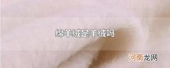 绵羊绒是羊绒吗