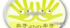 右手是哪只手