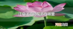 江夏法泗荷花节在哪里