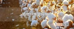 植物纤维是纯棉吗