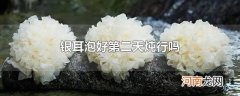 银耳泡好第二天炖行吗