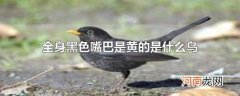 全身黑色嘴巴是黄的是什么鸟
