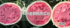 8424是麒麟西瓜吗