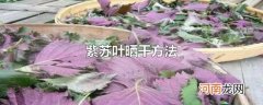 紫苏叶晒干方法