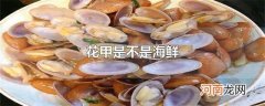 花甲是不是海鲜