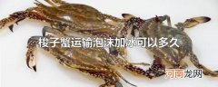 梭子蟹运输泡沫加冰可以多久