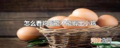 怎么看鸡蛋能不能孵出小鸡