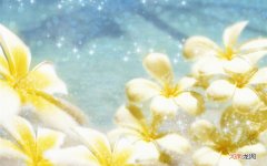 如果纯牛奶掺了水能检验出来吗 纯牛奶可以加水不