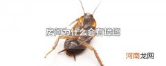 房间为什么会有蟑螂