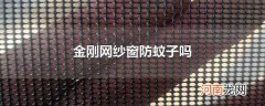 金刚网纱窗防蚊子吗