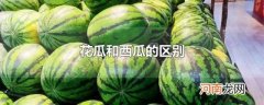 花瓜和西瓜的区别