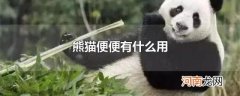 熊猫便便有什么用