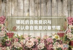 哪吒的自我意识与不认命 自我意识章节哪吒观后感