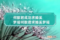何猷君成功求婚奚梦瑶 何猷君求婚奚梦瑶明星vcr