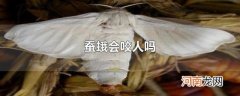 蚕蛾会咬人吗