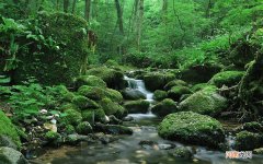 有哪些去黑眼圈淡化细纹的眼霜 去黑眼圈一般要多少钱