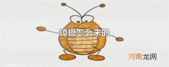 蟑螂怎么来的