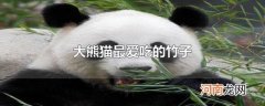 大熊猫最爱吃的竹子
