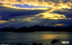 儿子上高一时体检为糖尿病 血糖高到15应该怎么办?