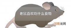 老鼠喜欢吃什么食物